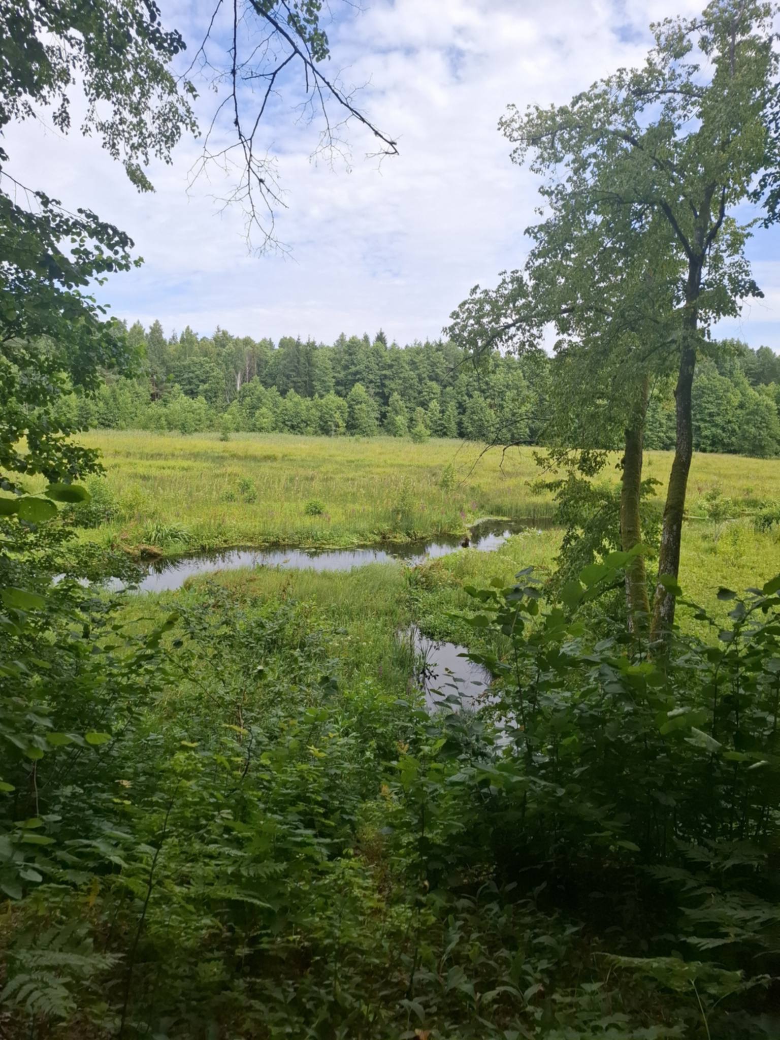 Pelkių žygio akimirkos